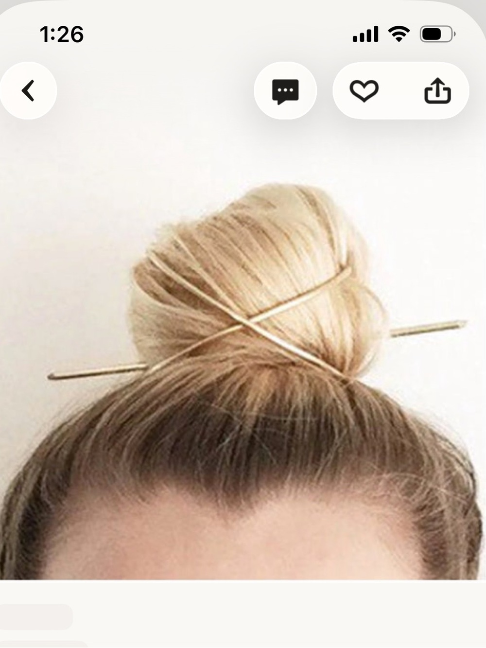 Gold Bun Cage and Pin Set
